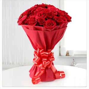 20 Red Rose red tissues Red ribbon